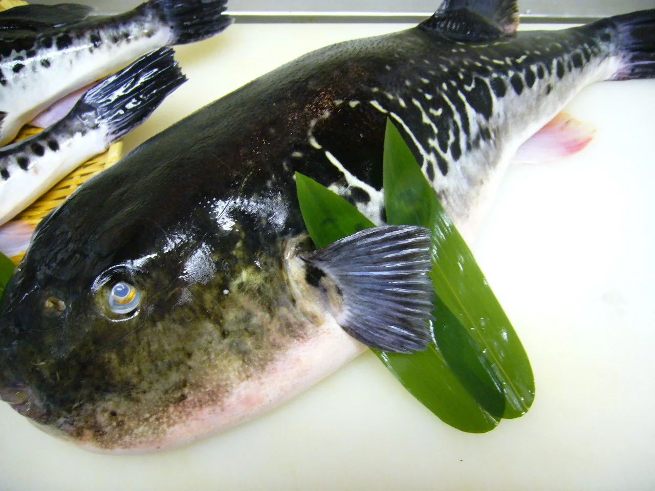 はも料理