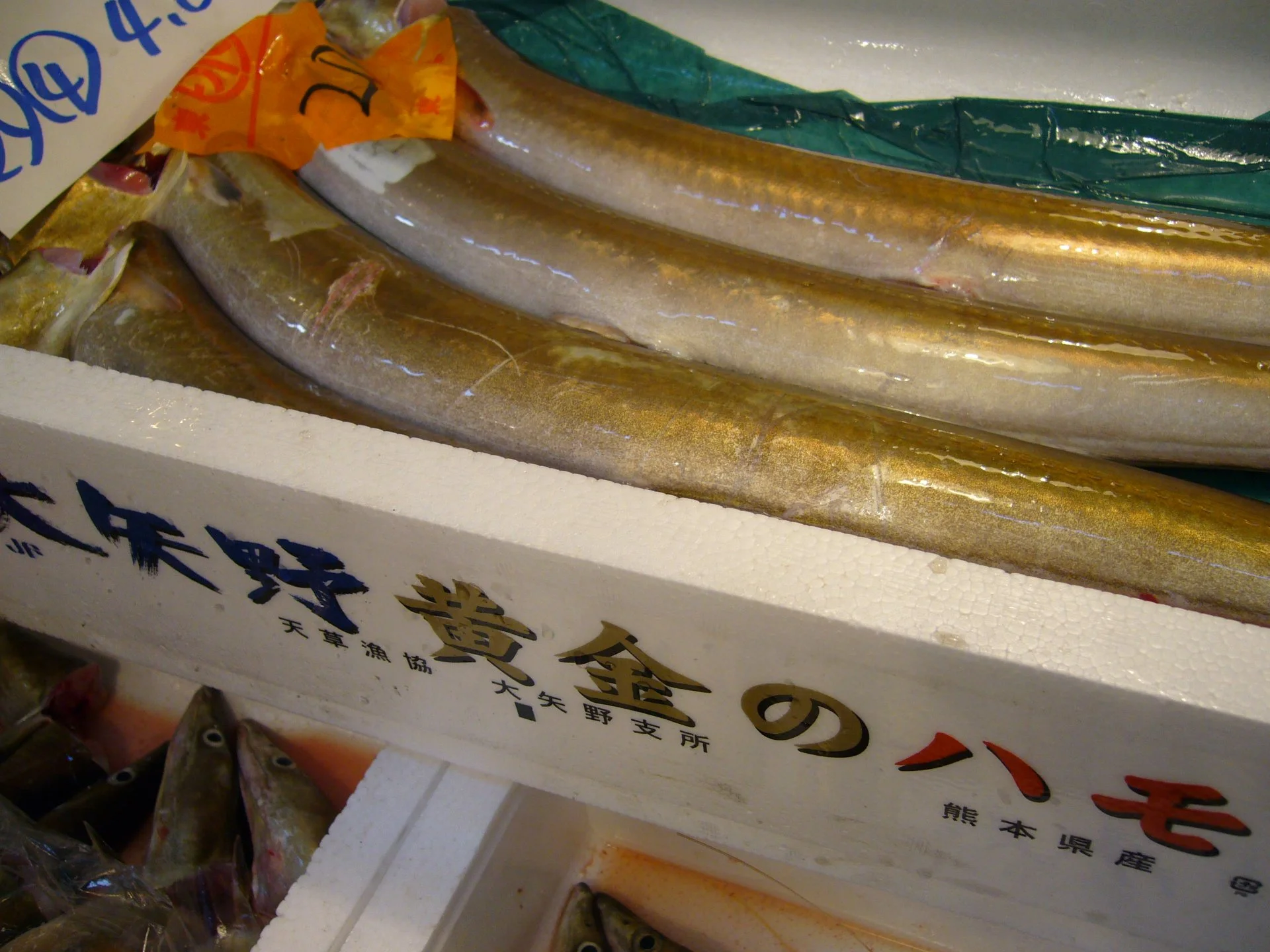 はも料理